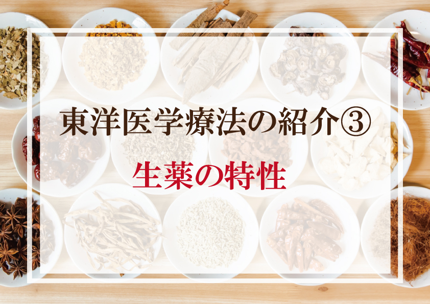 生薬の特性 | ホリスティックヘルスラボ