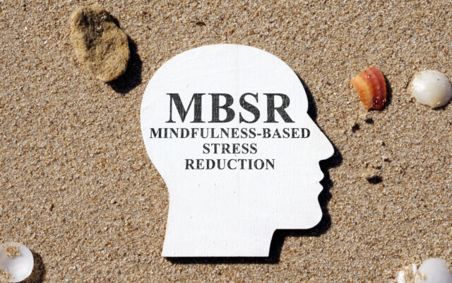 マインドフルネスストレス低減法(MBSR)とは？　〜②内容編　前半〜