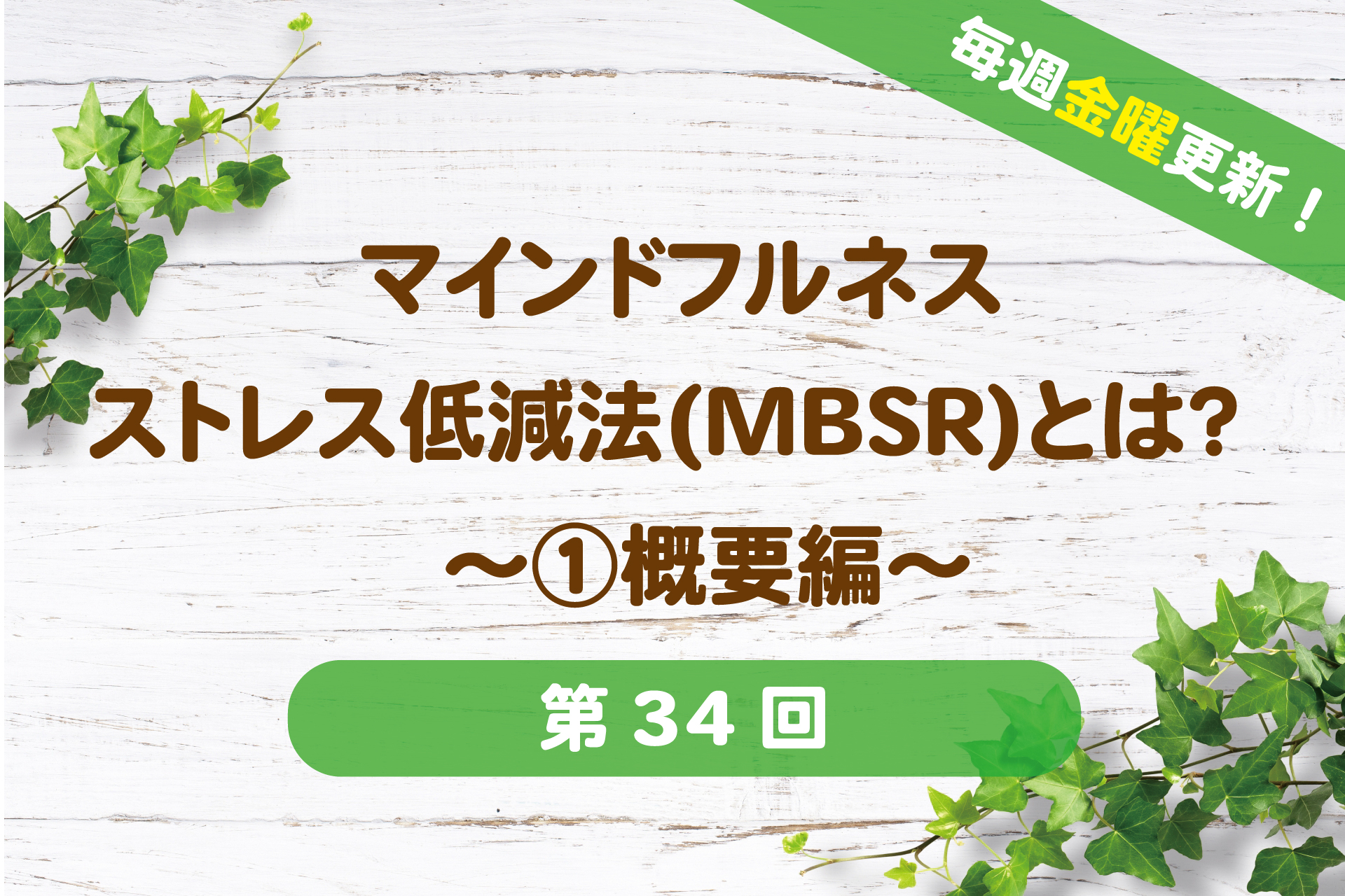 マインドフルネスストレス低減法(MBSR)とは？ 〜①概要編〜 ホリスティックヘルスラボ
