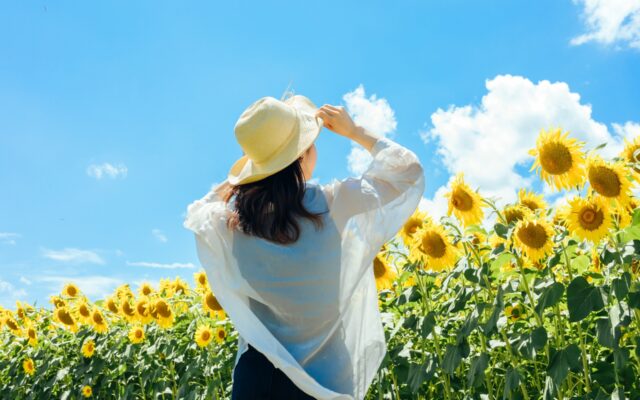 暑い夏をマインドフルに過ごす
