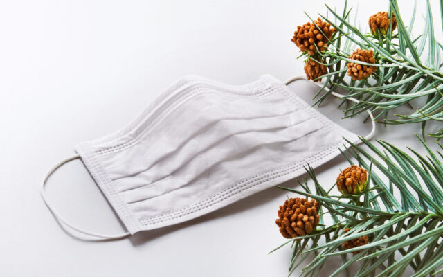 花粉症の季節を少しでも穏やかに過ごすために ― ホリスティックケアとしてのアロマテラピー活用 ―